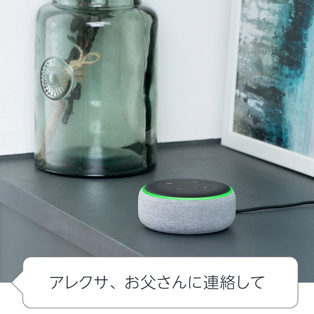 Amazon Echo Dotで通話