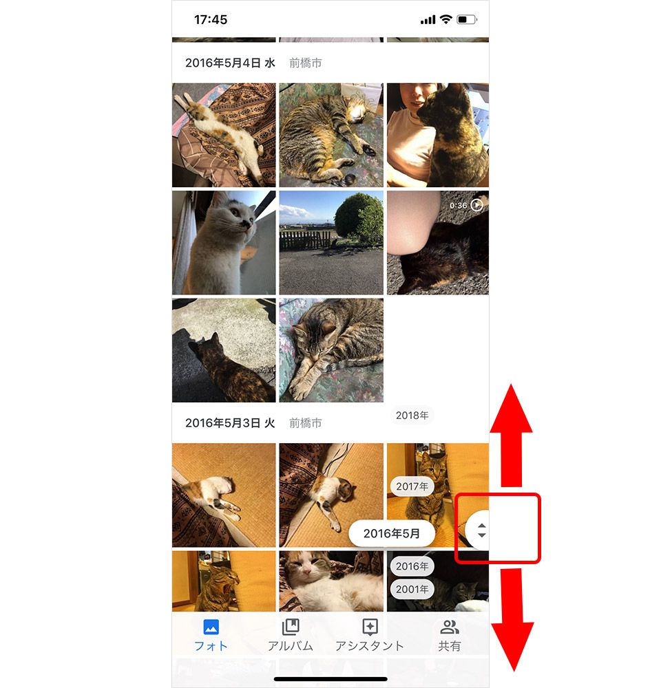 Google フォト 検索