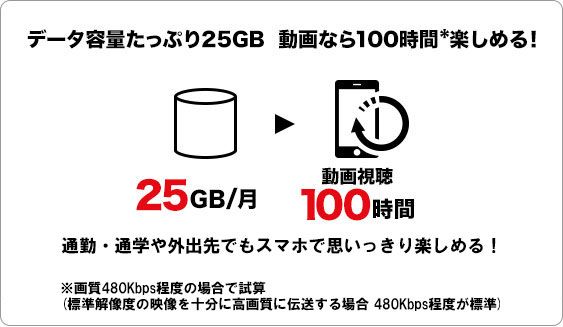 毎月のギガ数の説明