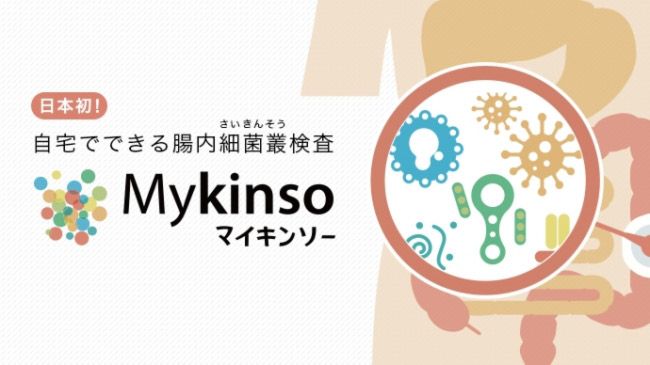 マイキンソー