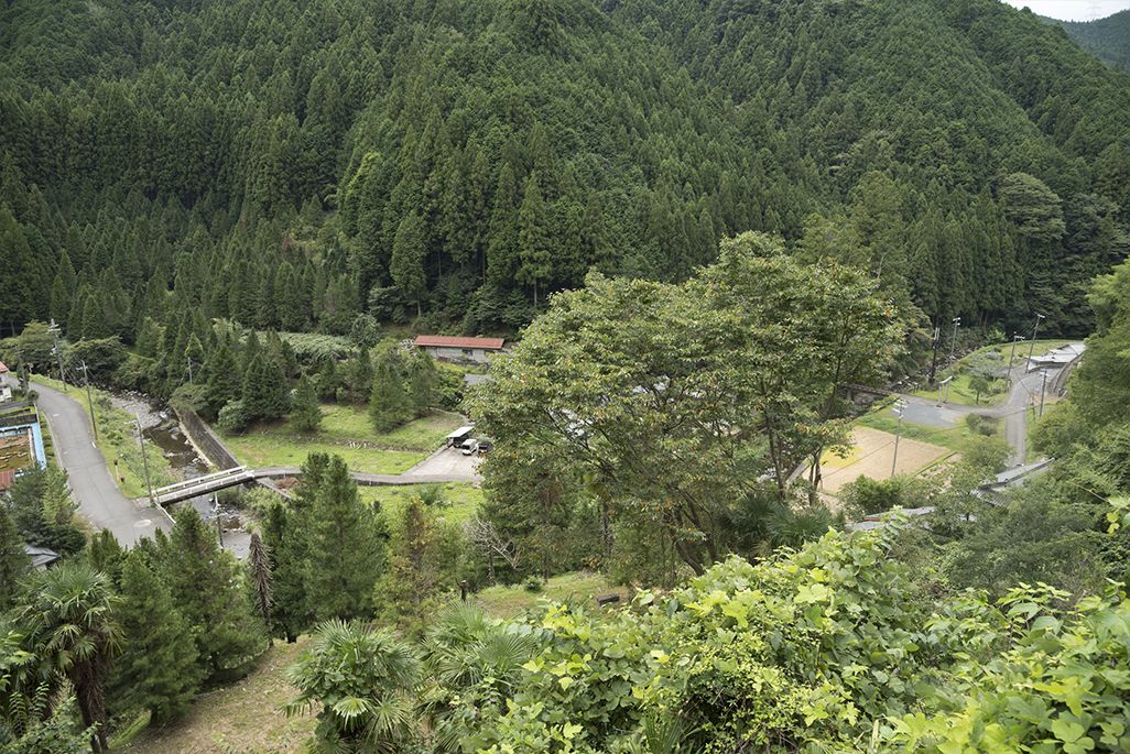 紀伊細川駅の眺望