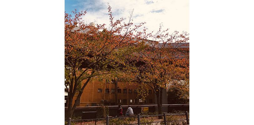 紅葉と建物と青空