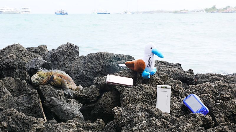 岩礁の上のイグアナとガラケーとぬいぐるみ
