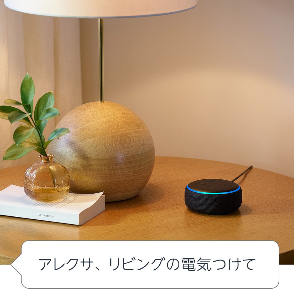 Amazon Echo dot 家電コントロール