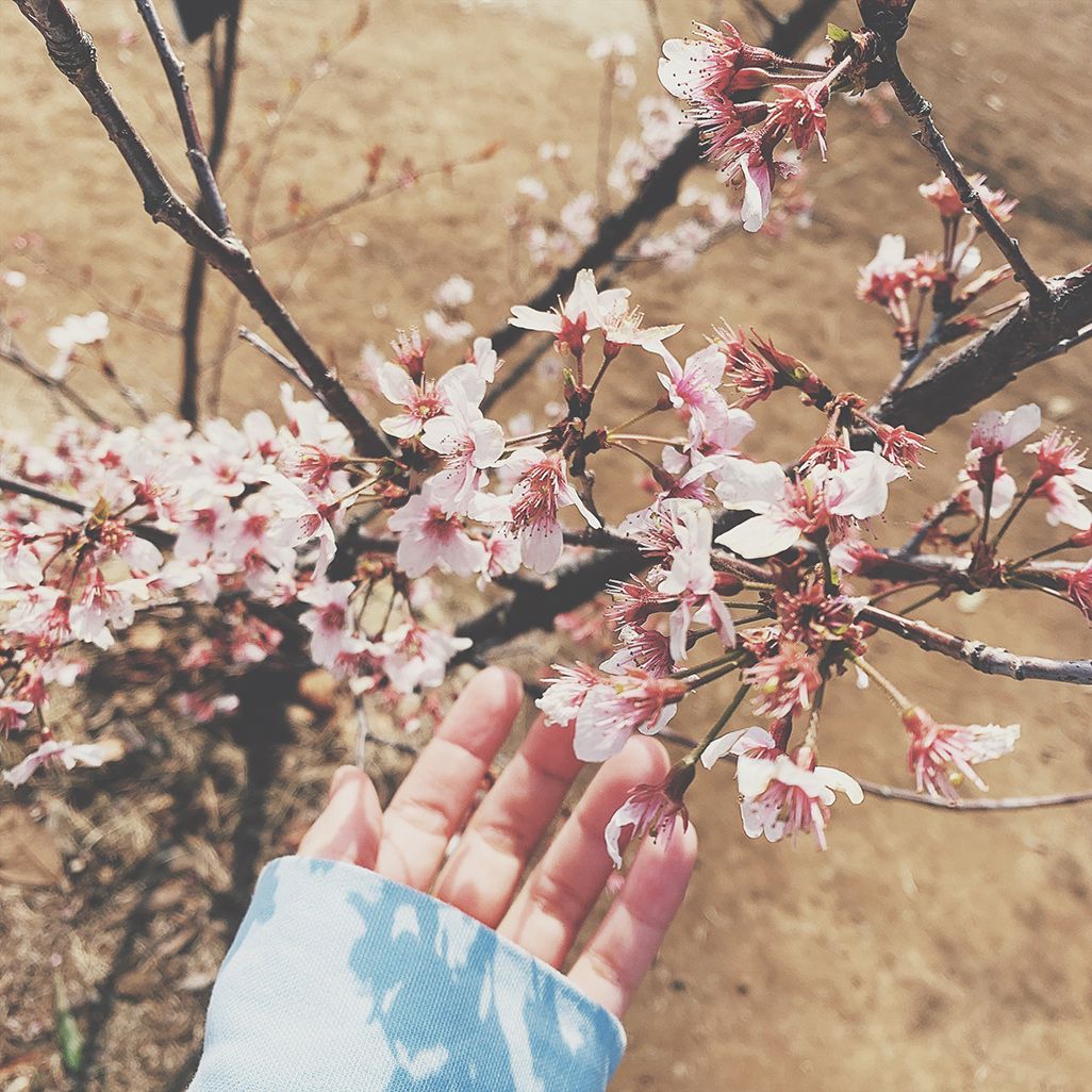 写真加工アプリ「VSCO(ヴィスコ)」加工後
