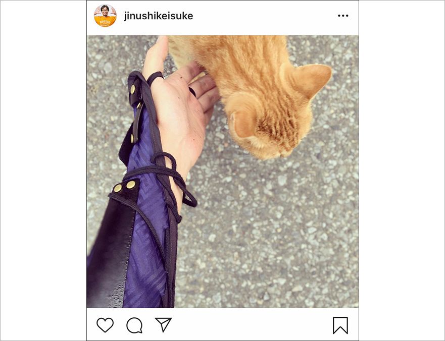 猫に触っている地主のインスタ写真のキャプチャ