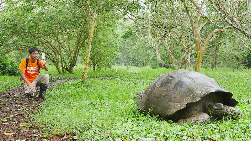 ガラパゴスゾウガメをガラケーで撮影する地主