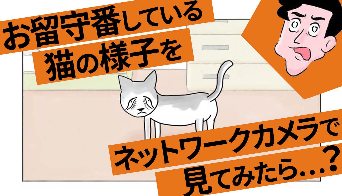 室木おすし お留守番している猫の様子をネットワークカメラで見てみたら…?