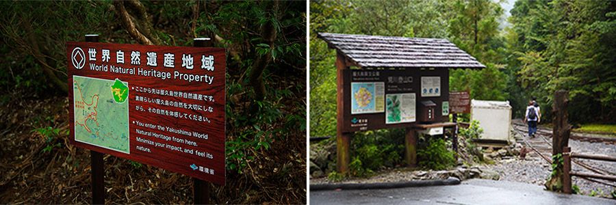 屋久島・縄文杉への道のり