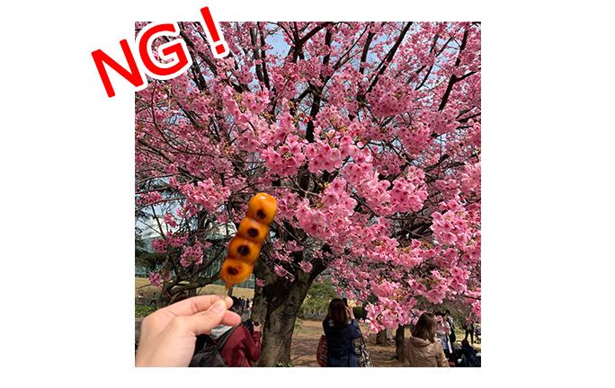 桜と団子
