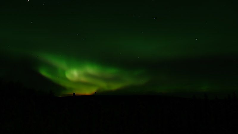 緑色が強いアラスカのオーロラ