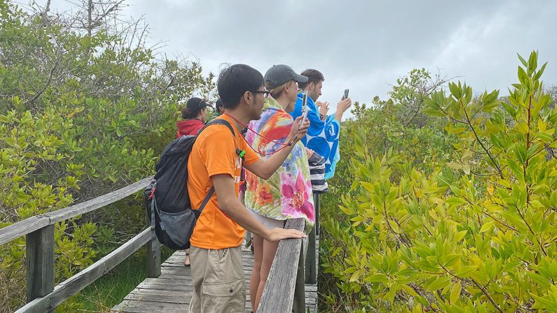 橋の上から携帯を構える地主とツアー客