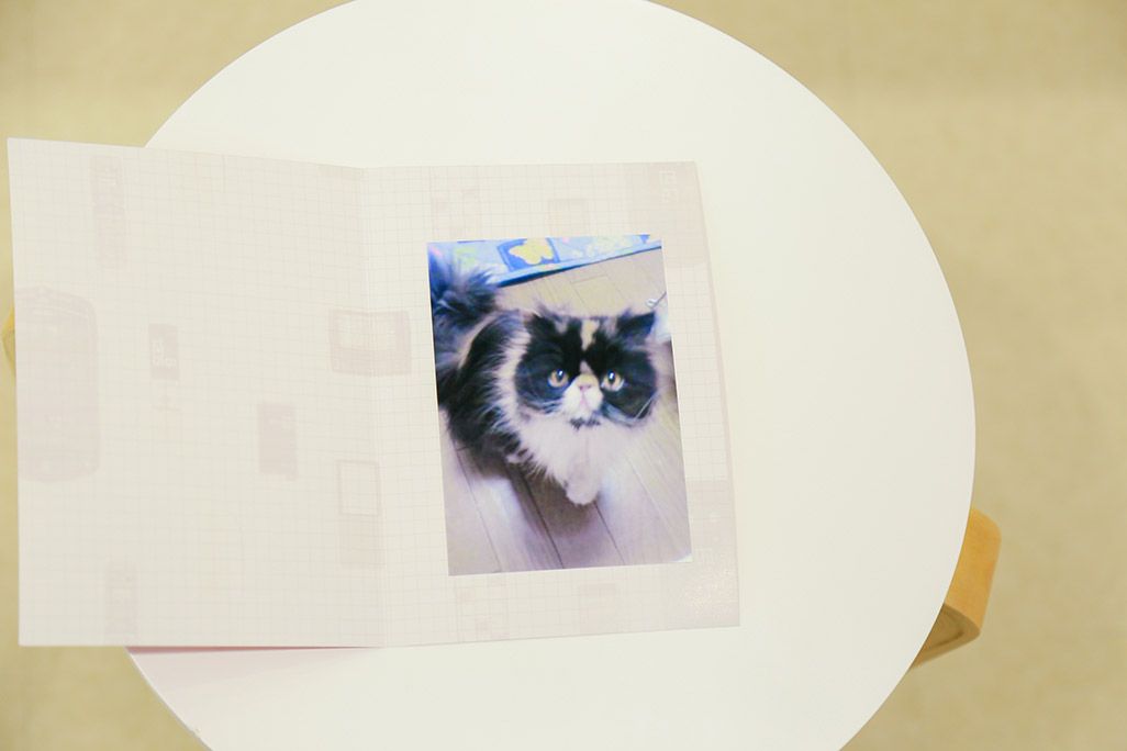 昔のケータイからプリントアウトされた猫の写真