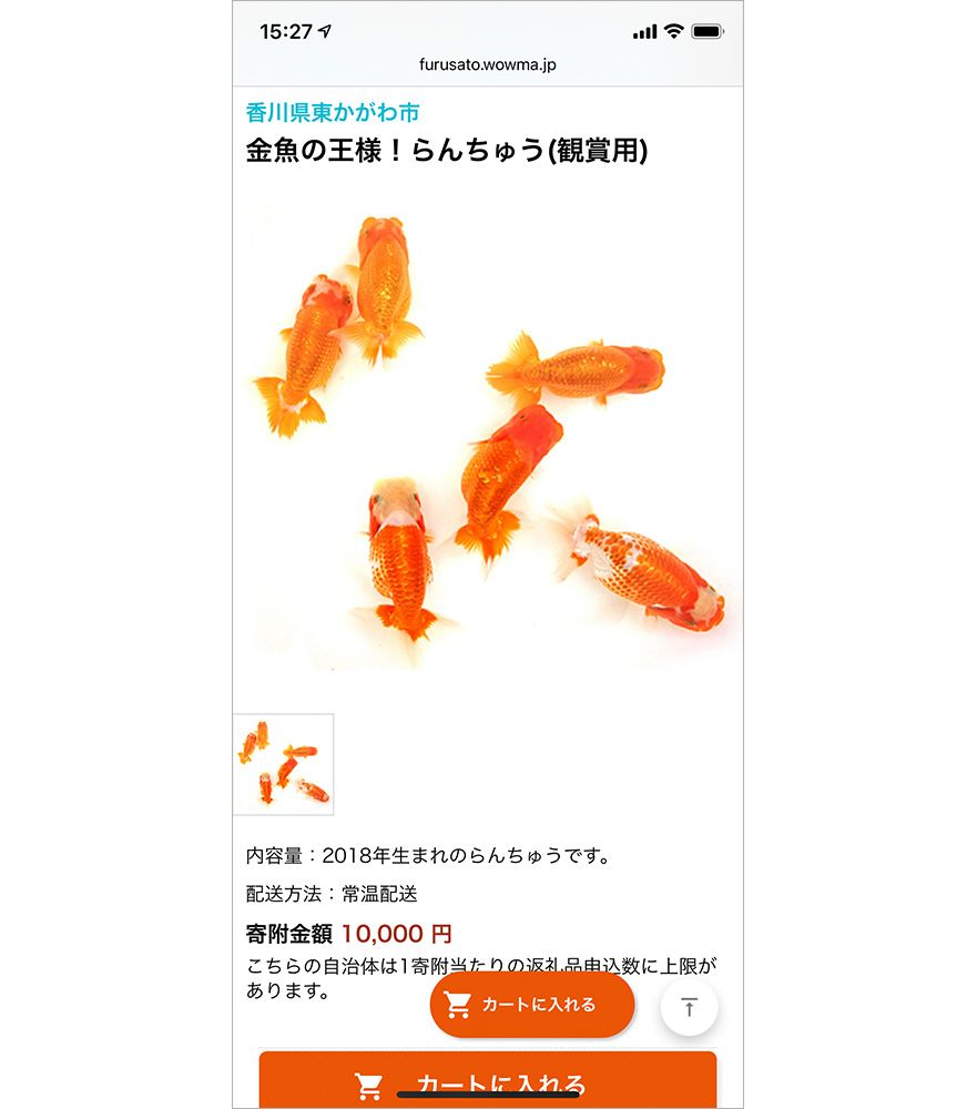 Wowma! ふるさと納税のらんちゅう