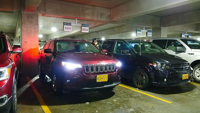 駐車場に並ぶレンタカー