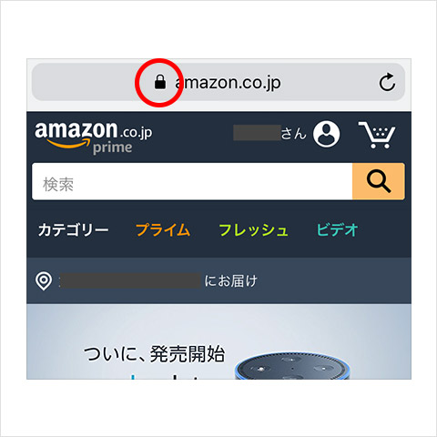 ブラウザのURLの横にカギマークがあるときは、相手側との通信は暗号化されている