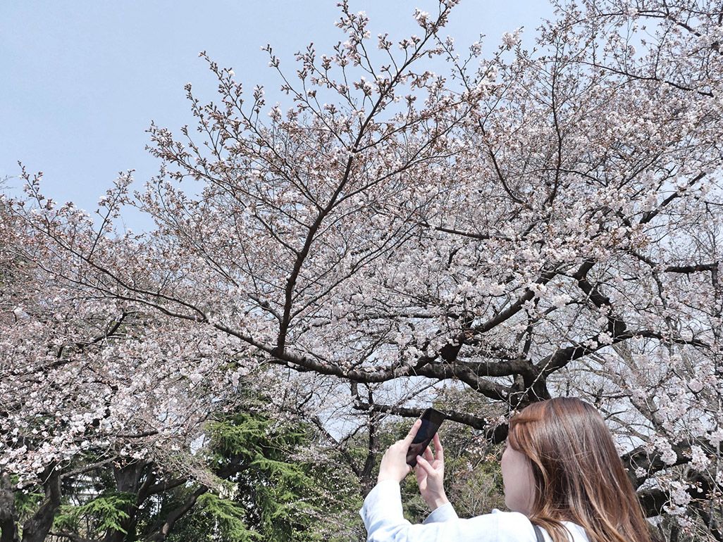 少し離れたところから撮ると余白を入れやすくなる