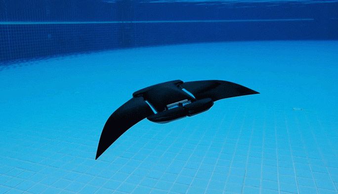 水中ドローンに最適な動きはマンタの泳ぎだった! 水中マッピングや探査に革命の予感