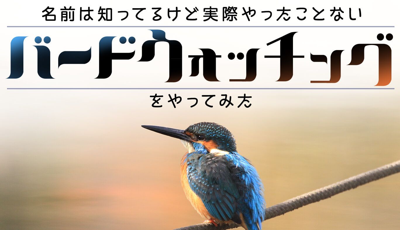 バードウォッチングをスマホGalaxy9で撮ってみた。井の頭公園で。